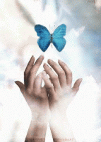 bevrijdingsdag/antiracisme